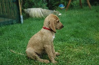 NANA de la Hache de Vaa